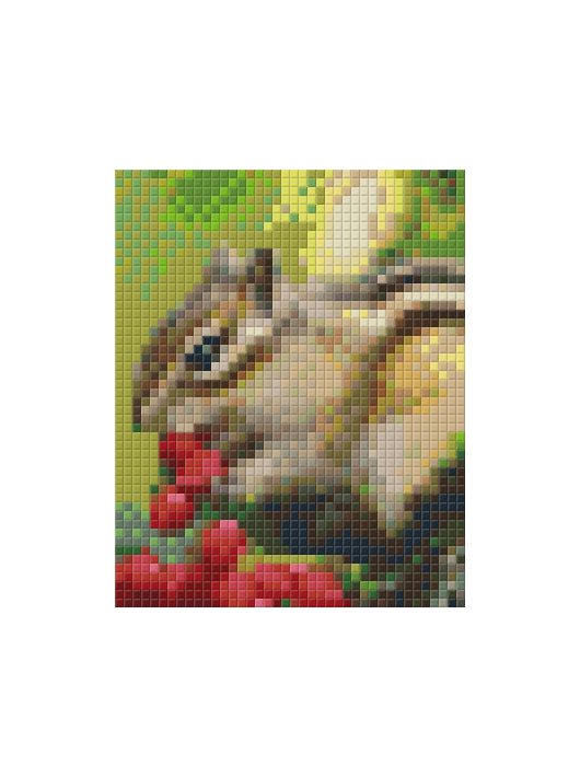 Pixel szett 1 normál alaplappal, színekkel, csíkos mókus