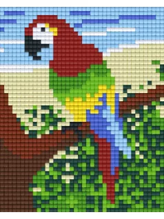 Pixel szett 1 normál alaplappal, színekkel, papagáj, (801251)