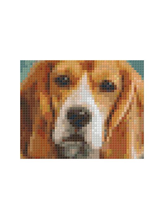 Pixel szett 1 normál alaplappal, színekkel, kutya, basset hound, 801301