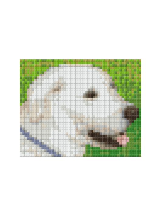 Pixel szett 1 normál alaplappal, színekkel, kutya, labrador