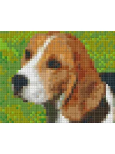 Pixel szett 1 normál alaplappal, színekkel, kutya, beagle