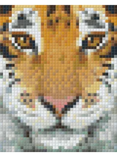 Pixel szett 1 normál alaplappal, színekkel, tigris