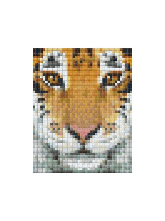 Pixel szett 1 normál alaplappal, színekkel, tigris