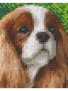 Pixel szett 1 normál alaplappal, színekkel, kutya, logó fülű