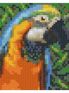 Pixel szett 1 normál alaplappal, színekkel, papagáj, (801328)