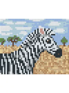Pixel szett 1 normál alaplappal, színekkel, zebra