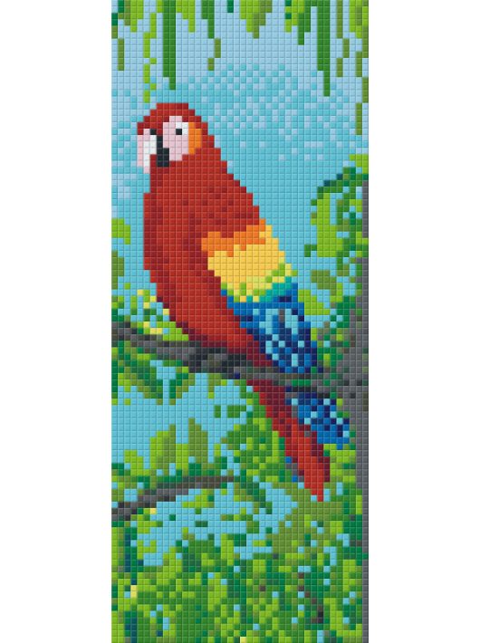 Pixel szett 2 normál alaplappal, színekkel, papagáj