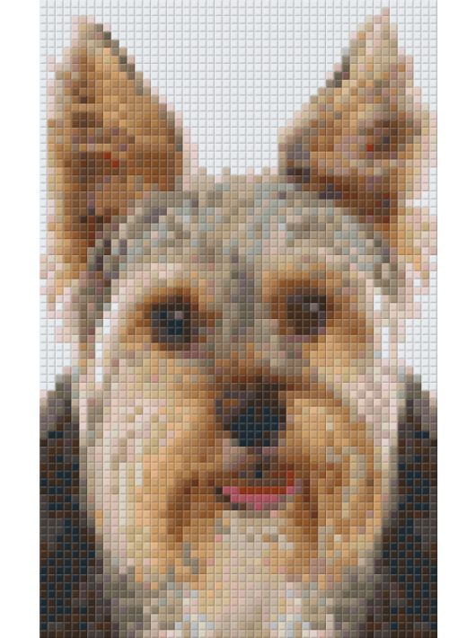 Pixel szett 2 normál alaplappal, színekkel, kutya