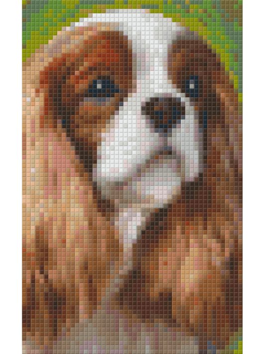 Pixel szett 2 normál alaplappal, színekkel, kutya, logó fülű