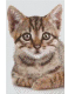 Pixel szett 2 normál alaplappal, színekkel, cica