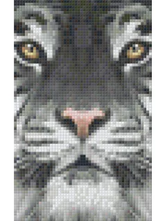 Pixel szett 2 normál alaplappal, színekkel, tigris