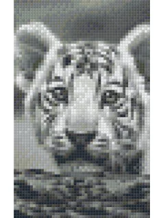 Pixel szett 2 normál alaplappal, színekkel, tigriskölyök