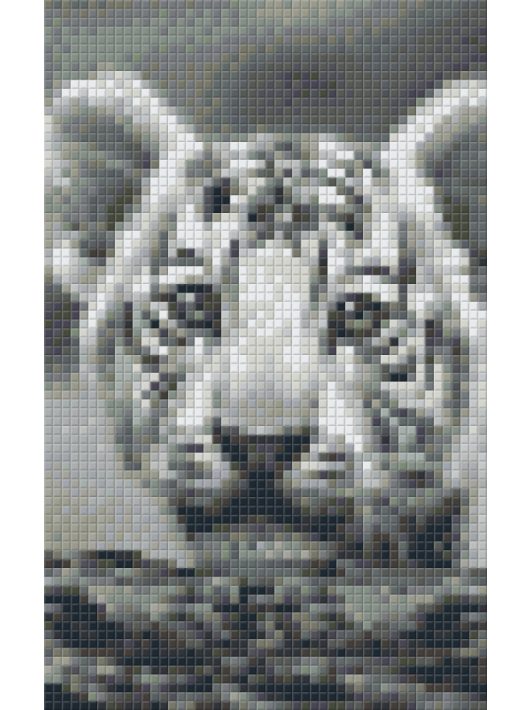 Pixel szett 2 normál alaplappal, színekkel, tigriskölyök