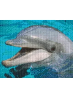   Pixel szett 4 normál alaplappal, színekkel, delfin (804016)