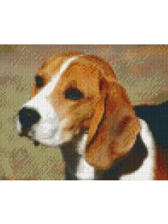 Pixel szett 4 normál alaplappal, színekkel, kutya, beagle