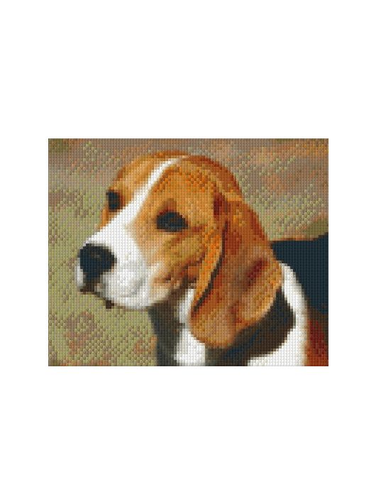 Pixel szett 4 normál alaplappal, színekkel, kutya, beagle