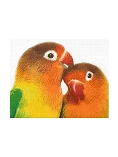 Pixel szett 4 normál alaplappal, színekkel, papagájok