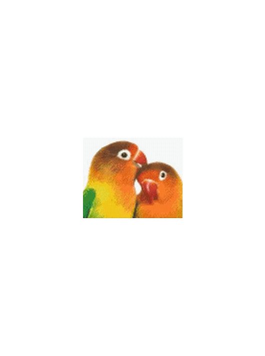 Pixel szett 4 normál alaplappal, színekkel, papagájok