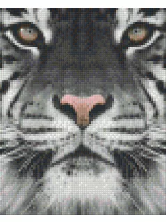 Pixel szett 4 normál alaplappal, színekkel, tigris