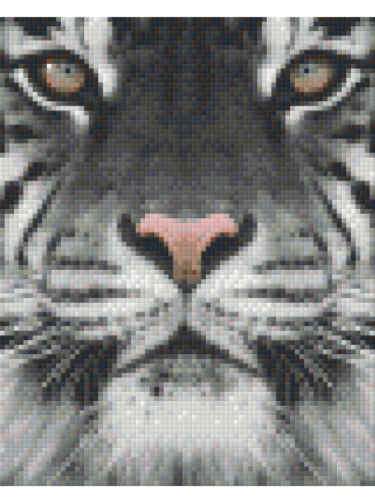Pixel szett 4 normál alaplappal, színekkel, tigris