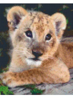 Pixel szett 4 normál alaplappal, színekkel, oroszlánkölyök