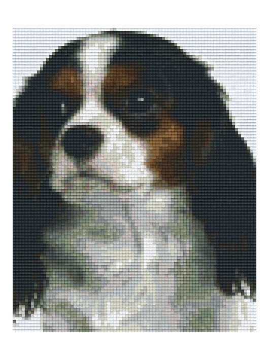Pixel szett 4 normál alaplappal, színekkel, kutya, beagle (804208)
