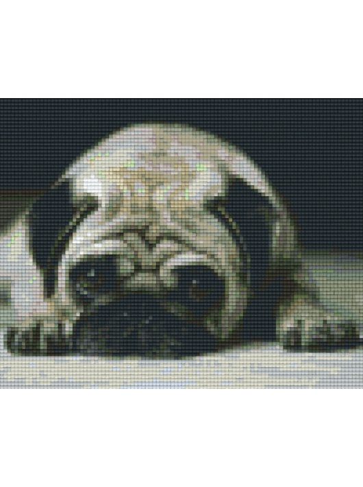 Pixel szett 4 normál alaplappal, színekkel, kutya, bulldog
