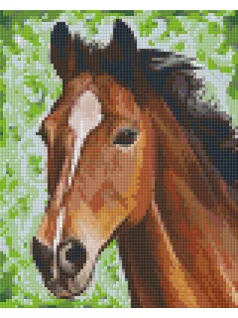 Pixel szett 4 normál alaplappal, színekkel, ló