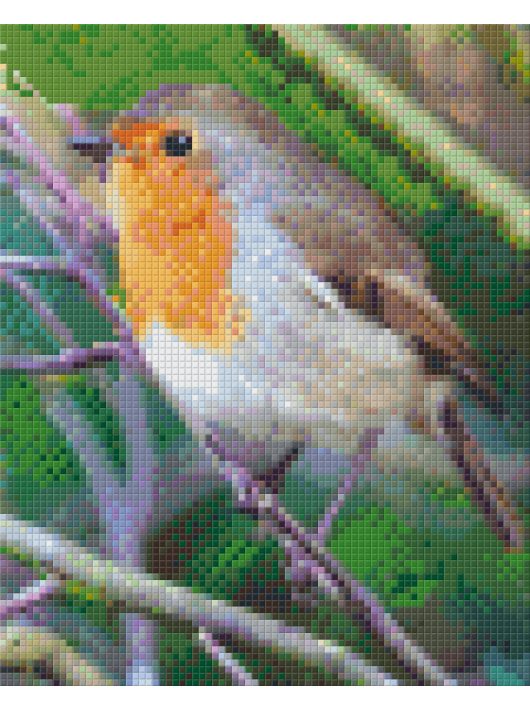 Pixel szett 4 normál alaplappal, színekkel, madár