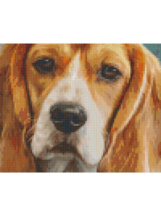 Pixel szett 4 normál alaplappal, színekkel, kutya, basset hound