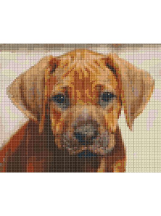 Pixel szett 4 normál alaplappal, színekkel, kutyakölyök (804447)