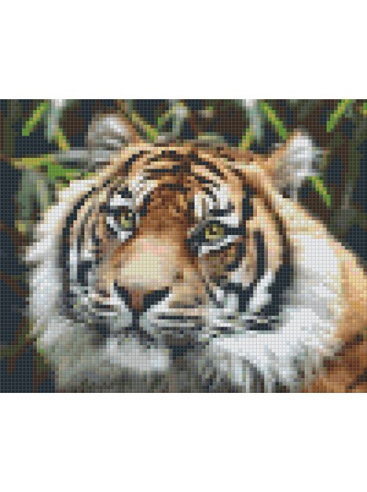 Pixel szett 4 normál alaplappal, színekkel, tigris (804460)