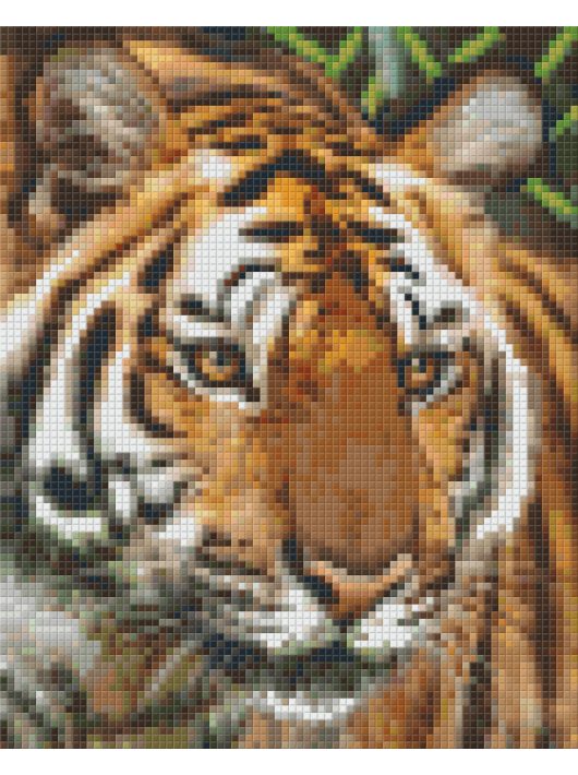 Pixel szett 4 normál alaplappal, színekkel, nőstény tigris