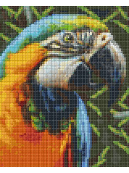 Pixel szett 4 normál alaplappal, színekkel, papagáj