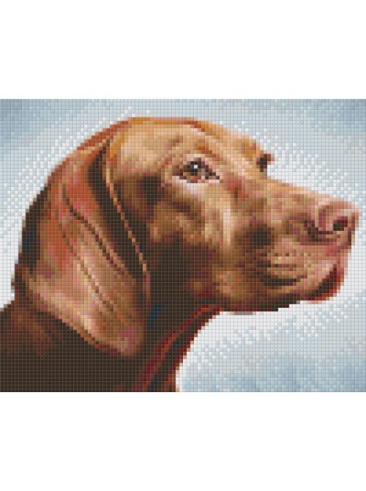 Pixel szett 4 normál alaplappal, színekkel, kutya, vizsla