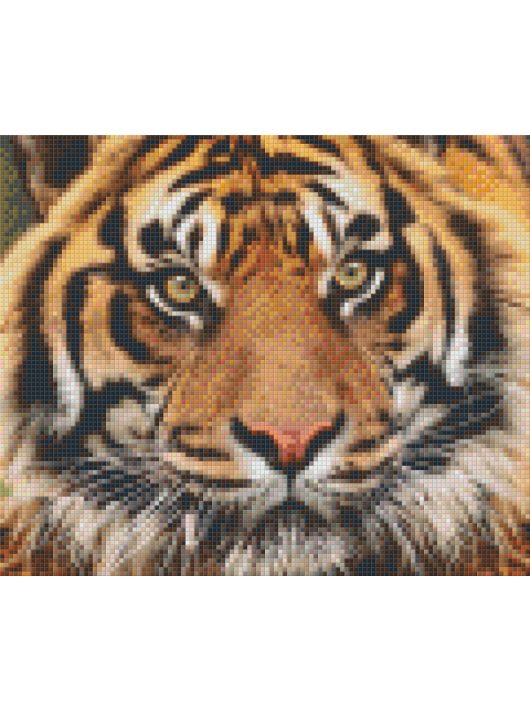 Pixel szett 6 normál alaplappal, színekkel, tigris (806141)