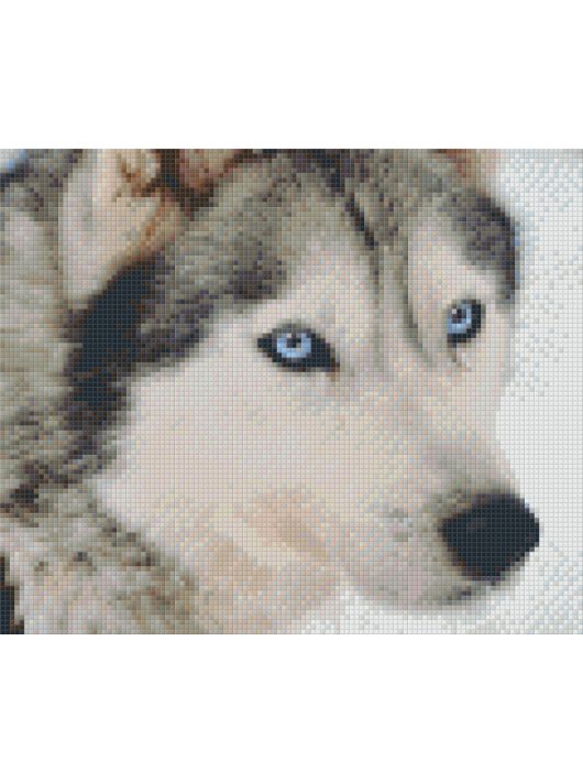 Pixel szett 6 normál alaplappal, színekkel, farkas (806145)