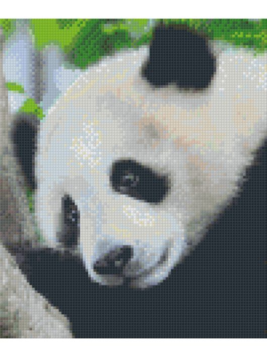 Pixel szett 6 normál alaplappal, színekkel, panda