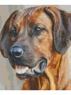 Pixel szett 6 normál alaplappal, színekkel, kutya