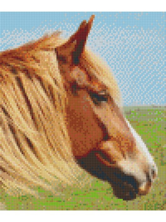 Pixel szett 6 normál alaplappal, színekkel, ló