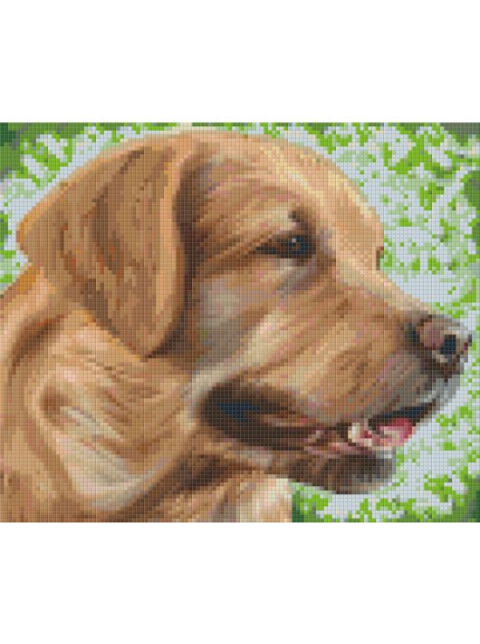 Pixel szett 6 normál alaplappal, színekkel, kutya, retriever