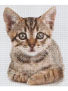Pixel szett 6 normál alaplappal, színekkel, cica