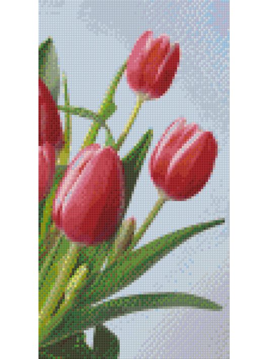 Pixel szett 6 normál alaplappal, színekkel, tulipánok