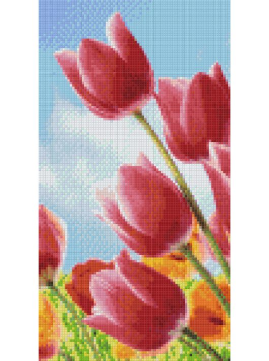 Pixel szett 6 normál alaplappal, színekkel, tulipánok a réten