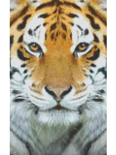 Pixel szett 6 normál alaplappal, színekkel, tigris