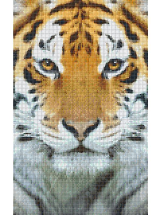 Pixel szett 6 normál alaplappal, színekkel, tigris