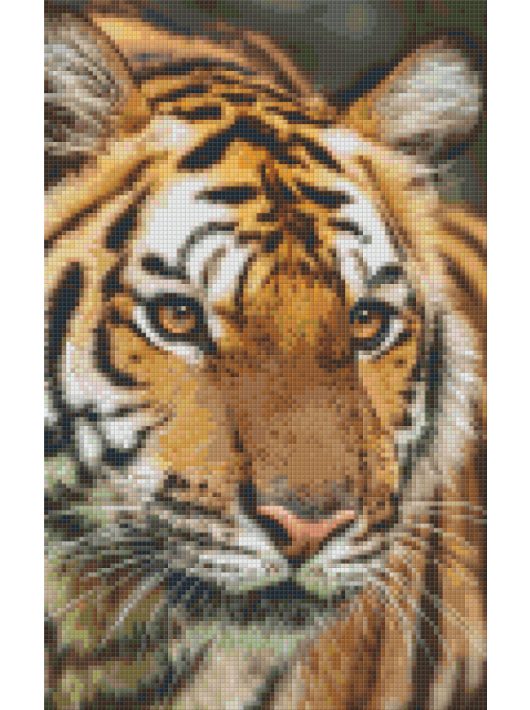 Pixel szett 8 normál alaplappal, színekkel, tigris