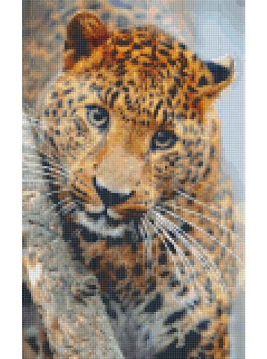Pixel szett 8 normál alaplappal, színekkel, leopárd