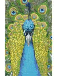 Pixel szett 8 normál alaplappal, színekkel, páva