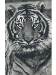   Pixel szett 8 normál alaplappal, színekkel, tigris (808086)